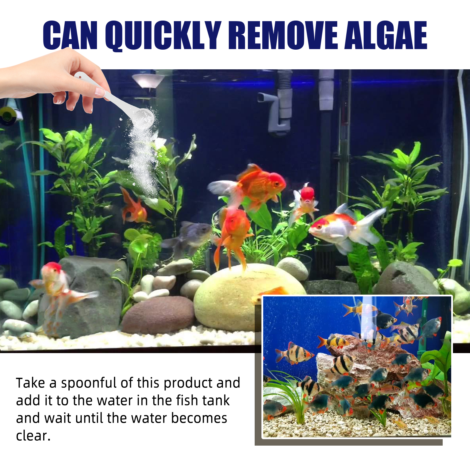 Algae Removal Quickly Removing - огляд і ціна Marine Aquarium Bacteria